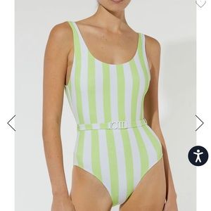 Solid & Striped One Piece Bathing Suit (THE ANNE-MARIE BELT PISTACHIO STRIPE)